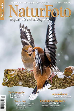 Naturfoto 2025-12