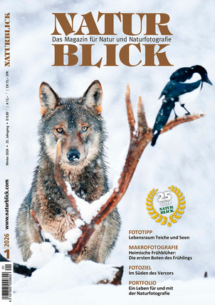 Naturblick Winter 2026